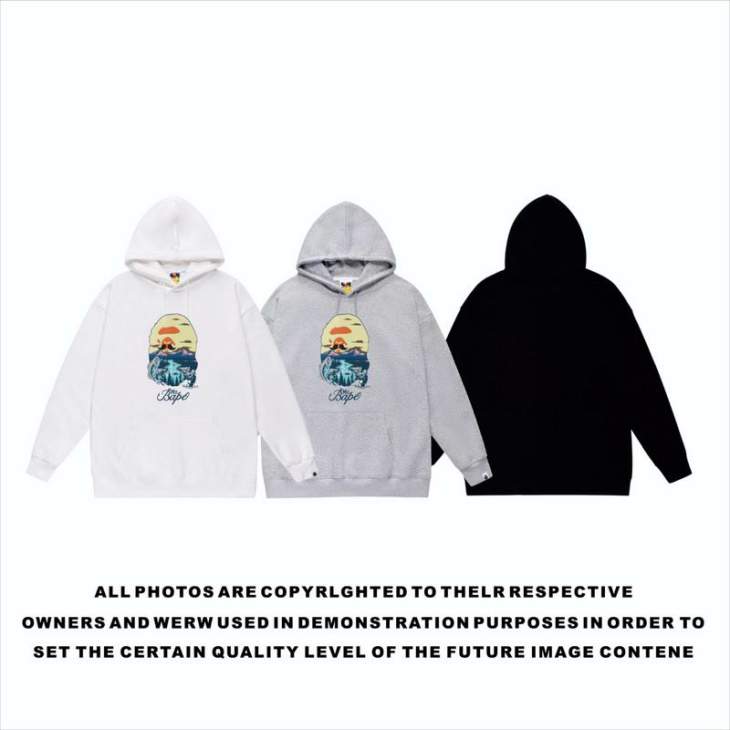 Picture of Bape Hoodies _SKUBapeS-2XLscqx8261354